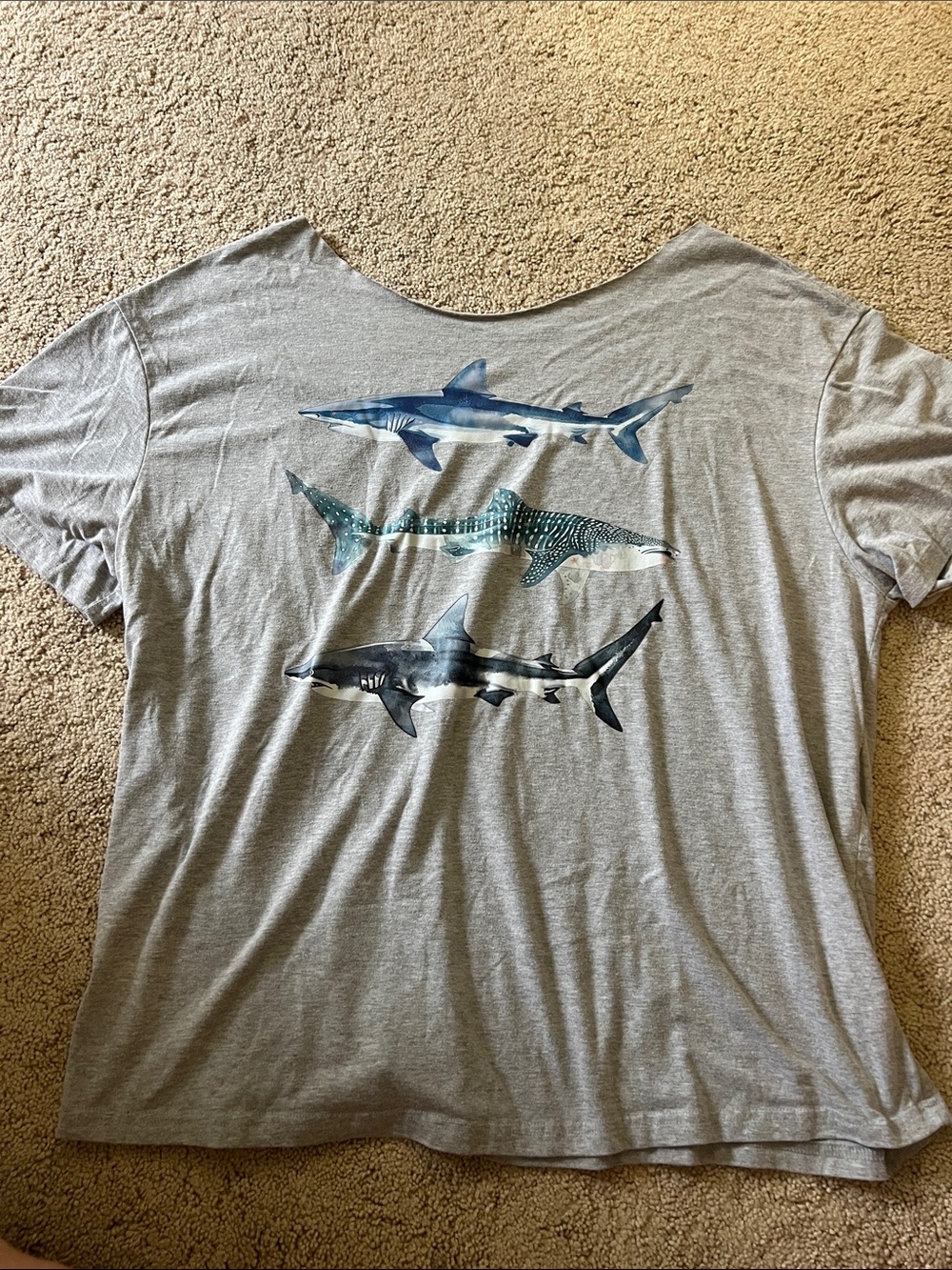 Shark tshirt